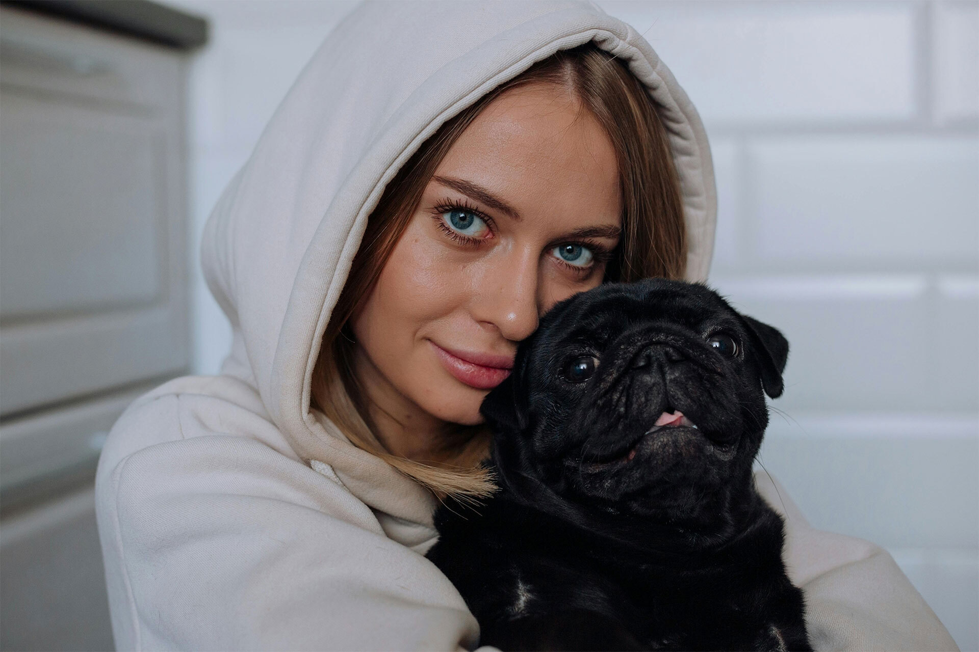topdog-2.jpg