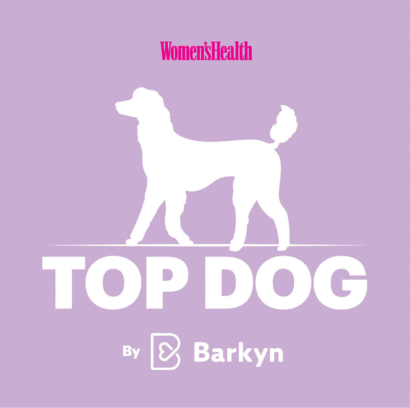 topdog-light-2.jpg